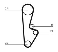 Cinghia dentata CONTINENTAL CTAM CT559