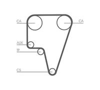 CONTINENTAL CTAM Cinghia dentata CT575