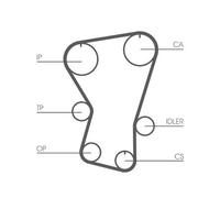 Cinghia Dentata Continental Ctam CT677 per Fiat