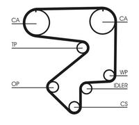 Cinghia dentata CONTINENTAL CTAM CT783