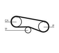 Cinghia di distribuzione CONTINENTAL CT933