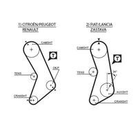 Cinghia Dentata Gates 5003 Powergrip™ per Citroën Fiat Innocenti Lancia Peugeot