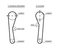 Cinghia Dentata Gates 5019 Powergrip™ per Austin Honda MG Morris Rover Suzuki