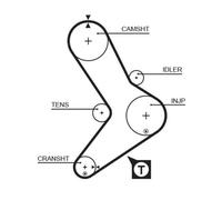 Cinghia Dentata Gates 5039 Powergrip™ per Fiat Iveco Renault Seat Renault Trucks