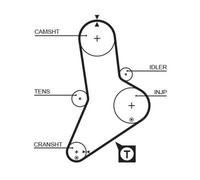 5113 Cinghia dentata (MARCA-GATES)