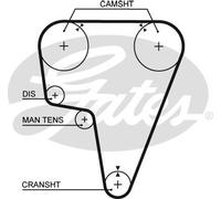 Cinghia dentata - GATES 5125