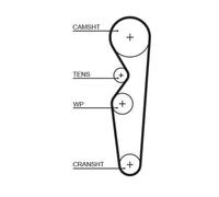 Cinghia Dentata Gates 5138 Powergrip™ per Ford Dana