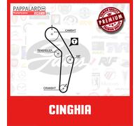 5182XS Cinghia dentata (MARCA-GATES)