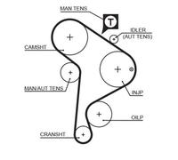 Cinghia di distribuzione GATES 5223XS