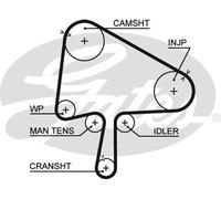Cinghia dentata - GATES 5510XS