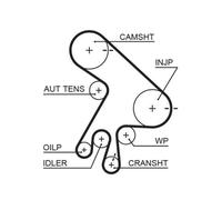 Cinghia Dentata Gates 5562XS Powergrip™ per Toyota