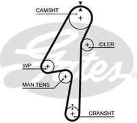 5580XS Cinghia dentata (MARCA-GATES).