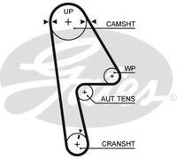 Cinghia dentata - GATES 5593XS