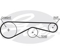 Cinghia dentata - GATES 5677XS