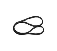 Cinghia dentata per AUDI CUPRA SEAT SKODA VW A1 A1 Allstreet A1 City Carver A3 A