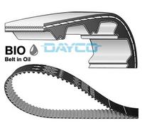 Cinghia dentata per FORD B-MAX C-MAX FIESTA FOCUS