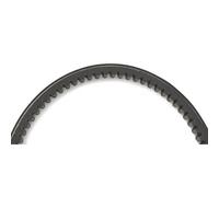 Cinghia Dentata Semplice Mitsuboshi Per Moto Ricambi Accessori Parti