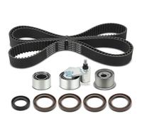 Cinghia Dentata Set per Audi A4 8E2 A6 4B2 A8 4E2 4E8 3.0L Benzina 2523300