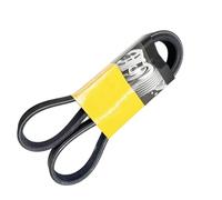 Cinghia di Distribuzione Compatibile Con Per Jetta 2000 Parti Motore Dell'auto Kit Catena Distribuzione Ricambio 6DPK1195