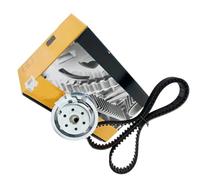 Cinghia di Distribuzione Compatibile Con Seat Per Toledo 2002 2003 2004 2005 2006 2007 2008 2009 1.6 Kit Catena Distribuzione Parti Motore Dell'auto 06A109119