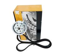 Cinghia di Distribuzione Compatibile Con Seat Per Toledo 2002 2003 2004 2005 2006 2007 2008 2009 1.6 Kit Catena Distribuzione Parti Motore Dell'auto 06A109119
