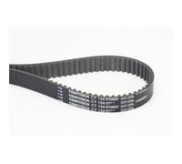 CONTITECH CT1241 Cinghia dentata