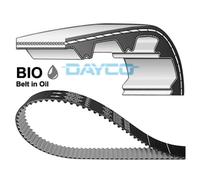 Cinghia distribuzione 941136 DAYCO per FORD FOCUS III FOCUS III Turnier ECOSPORT
