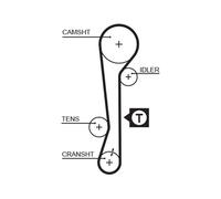 Cinghia Di Distribuzione GATES 5479XS Per HYUNDAI, KIA