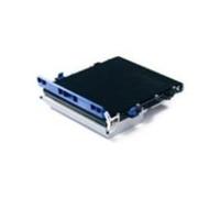 Cinghia di trasferimento Oki 42931603 Nero e Colore Originale