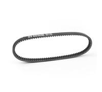 Cinghia di trasmissione 23100-LDF2-900 adatta for 200 250 300 persone S 250 2005-2006