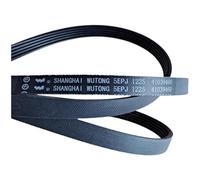 Cinghia Di Trasmissione 5EPJ1225, Compatibile Con Candy, Lavatrice A Cestello(5EPJ1225)