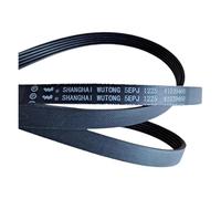 Cinghia Di Trasmissione 5EPJ1225 For Lavatrice A Tamburo Candy.(5EPJ1225 Belt 1pcs)