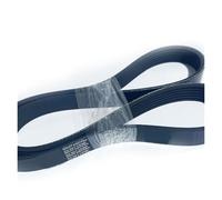 Cinghia di trasmissione a V scanalata PL da 1 pezzo, PL1930 PL1931 PL1940 PL1943 PL1945 Cinghia di trasmissione a V scanalata a 6 punte e 8 punte(PL1931-16Peak)