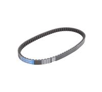 Cinghia di trasmissione ATHENA S410000350035
