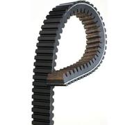 GATES 19G3982E Cinghia di trasmissione-CVT