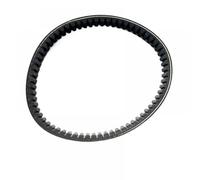 Cinghia di trasmissione CVT 25300-013-0000 compatibile con Hisun Sector Strike UTV250 Gunner