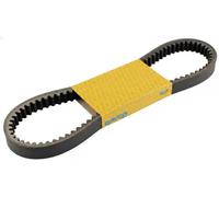 Cinghia di trasmissione CVT 383233 DAYCO