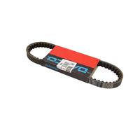 Cinghia di trasmissione CVT 8244DAY DAYCO