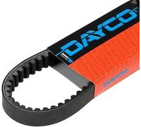 Cinghia di trasmissione CVT DAYHPX2234 DAYCO