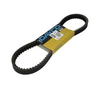 Cinghia di trasmissione DAYCO 8201K