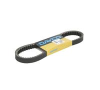 Cinghia di trasmissione DAYCO 8209K