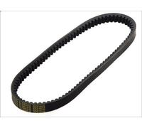 Cinghia di trasmissione DAYCO DAY8131K