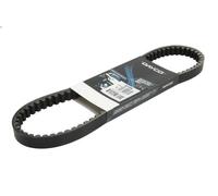 Cinghia di trasmissione DAYCO DAY8170K