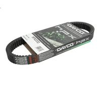 Cinghia di trasmissione DAYCO DAYHPX2233