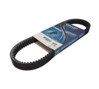 Cinghia di trasmissione DAYCO HPX5013