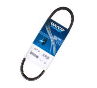 163751250 Cinghia di trasmissione Dayco Piaggio Vespa PK XL