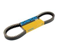 Dayco Cinghia di trasmissione trapezoidale per Peugeot Elyseo 125-150 cc 1998-2007 Giallo