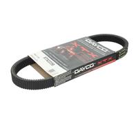 Cinghia di trasmissione DAYCO XTX2239