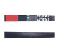 Cinghia Di Trasmissione Del Cestello Dell'asciugatrice 1975 H7 7PH1975 DC66-00121A, Compatibile Con Samsung, Compatibile Con ZANUSSI, Compatibile Con TRICITY, Compatibile Con ELECTROLUX, Compatibile C
