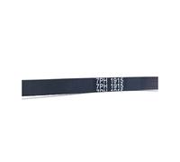 Cinghia Di Trasmissione For Asciugatrice 7PH 1915, Compatibile Con HOTPOINT, 1915 H7 C00179066(7PH1915-1pc)